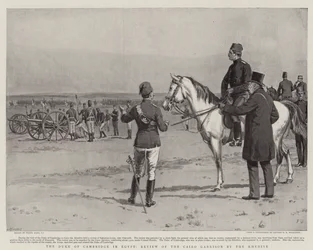 Der Herzog von Cambridge in Ägypten, Überprüfung der Garnison von Kairo durch den Khedive